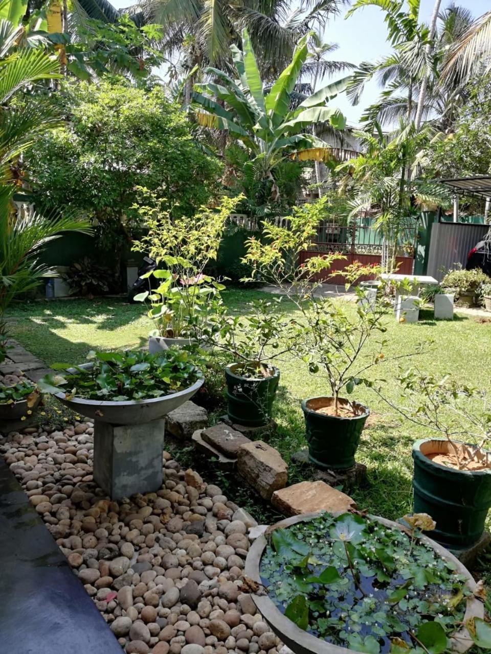Serenity Villa היקדואה מראה חיצוני תמונה
