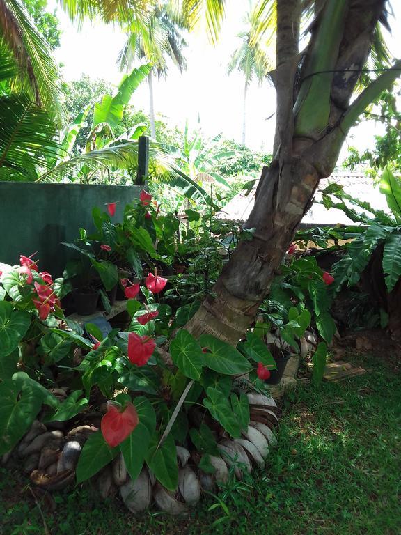 Serenity Villa היקדואה מראה חיצוני תמונה